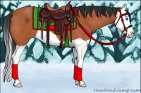 Horse Color:Bay Splash 