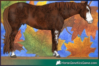 Horse Color:Chestnut Ice Sabino 