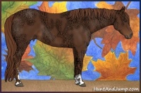 Horse Color:Chestnut Ice Sabino 