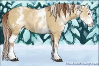 Horse Color:White Spotted Red Dun Sabino Rabicano  and White Spotted Red Dun Sabino Splash Rabicano 