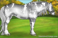 Horse Color:White Spotted Silver Blue Onyx Chinchilla 