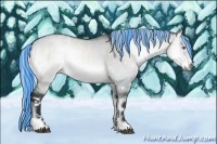 Horse Color:Painted White Spotted Silver Brown Chinchilla Onyx Rabicano