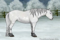 Horse Color:White Spotted Silver Bay Chinchilla Rabicano 