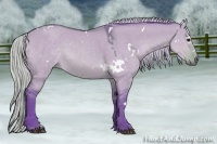 Horse Color:Watercolor White Spotted Silver Brown Dun Rabicano 