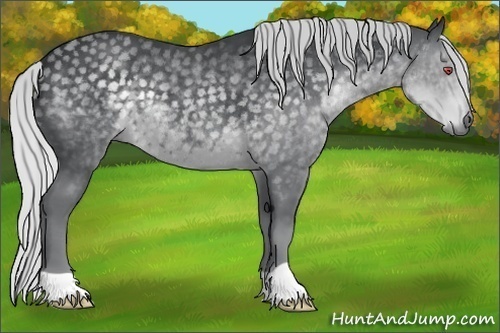 Horse Color:Silver Black Chinchilla 