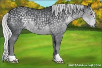 Horse Color:Silver Black Chinchilla 