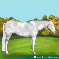 Horse Color:White Spotted Silver Grullo Chinchilla Splash 