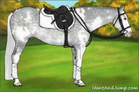 Horse Color:White Spotted Silver Grullo Chinchilla Splash