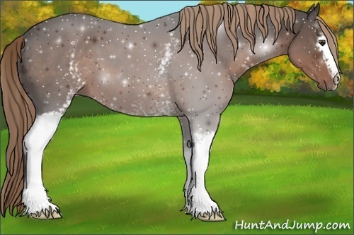 Horse Color:White Spotted Liver Chestnut 