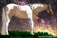 Horse Color:Bay Dun Tobiano Rabicano  and Silver Bay Dun Tobiano Rabicano 