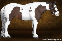 Horse Color:Bay Roan Splash Tobiano