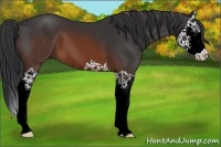 Horse Color:Brown Splash