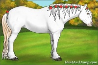 Horse Color:Buckskin Roan Dun Blanket 