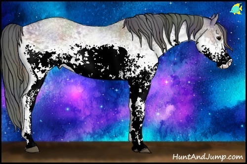 Horse Color:Nacre White Spotted Grullo Roan