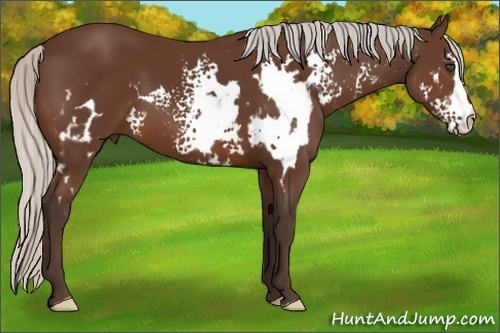 Horse Color:White Spotted Silver Brown Frame 