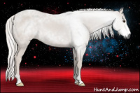 Horse Color:Gray Chestnut 