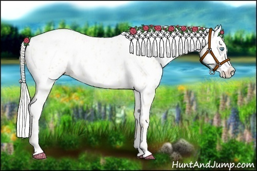 Horse Color:Gold Cream Champagne Roan Pearl Appaloosa