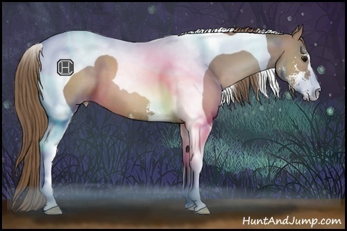 Horse Color:Black Pearl Sabino Tobiano 