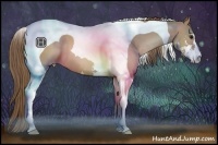 Horse Color:Black Pearl Sabino Tobiano