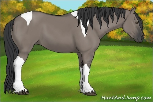 Horse Color:Grullo Tobiano