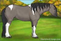 Horse Color:Grullo Tobiano