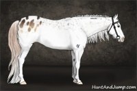 Horse Color:Liver Red Onyx Splash Snowflake Varnish 