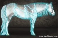 Horse Color:Thunderstruck Silver Blue Onyx Chinchilla Splash 