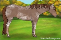Horse Color:Chestnut Ice 