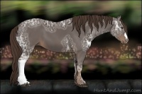 Horse Color:Liver Chestnut Ice 