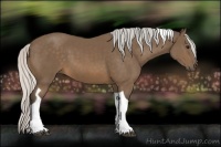 Horse Color:Silver Buckskin Tobiano 