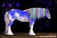 Horse Color:Painted Watercolor White Spotted Silver Brown Chinchilla Splash Tobiano