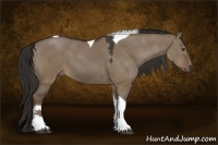 Horse Color:Liver Red Dun Tobiano 