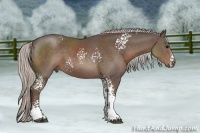 Horse Color:White Spotted Silver Black Sabino