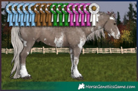 Horse Color:White Spotted Silver Black 