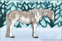 Horse Color:White Spotted Silver Grullo Ice 