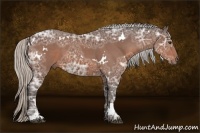 Horse Color:White Spotted Silver Bay Ice Sabino 