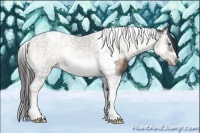 Horse Color:White Spotted Liver Red Onyx Splash Tobiano Frame 