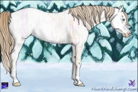 Horse Color:Perlino Ice Splash