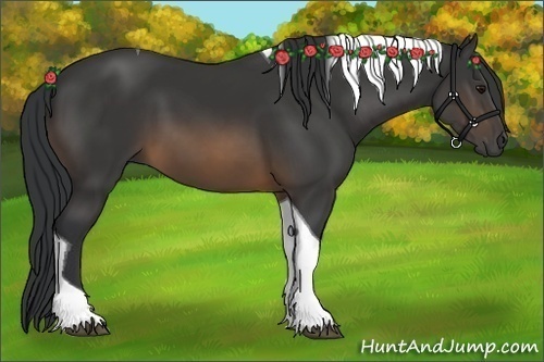 Horse Color:Buckskin Tobiano 