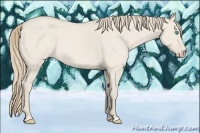 Horse Color:Smoky Creme Roan Dun 