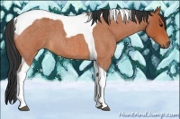 Horse Color:Bay Roan Tobiano 