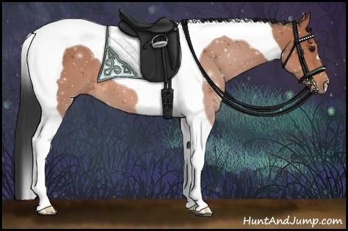 Horse Color:Bay Tobiano 