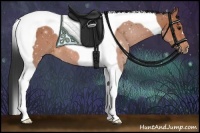 Horse Color:Bay Tobiano 