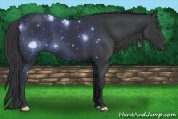 Horse Color:Black Frame 