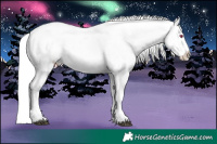 Horse Color:Chocolate Silver Buckskin Chinchilla Ice Tobiano Appaloosa 