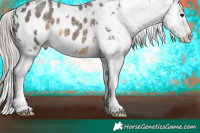 Horse Color:White Spotted Silver Smoky Black Blanket 