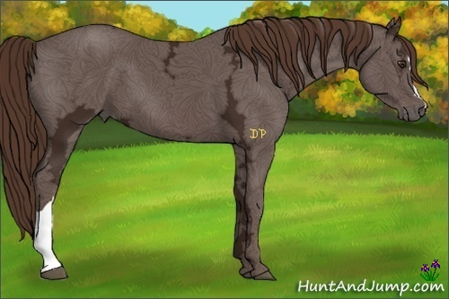 Horse Color:Liver Chestnut Ice 