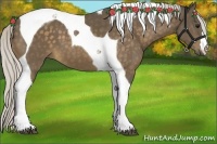 Horse Color:Silver Buckskin Tobiano 