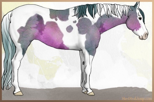 Horse Color:Watercolor Brown Ice Splash Tobiano 