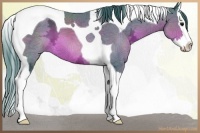 Horse Color:Watercolor Brown Ice Splash Tobiano 